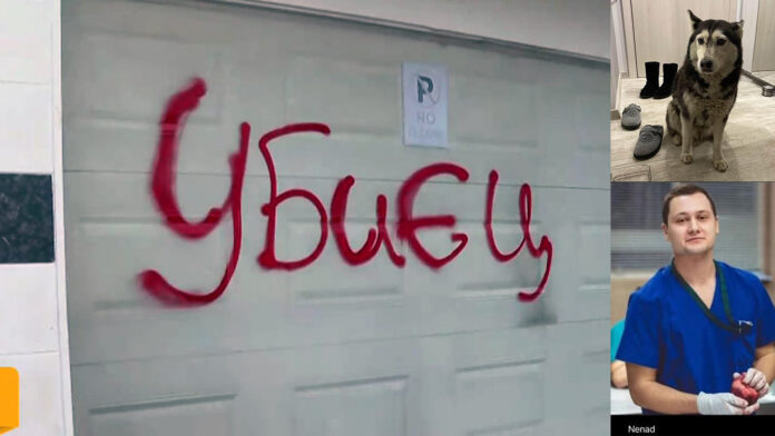 ВМА отстрани временно лекаря, прегазил кучето Мая