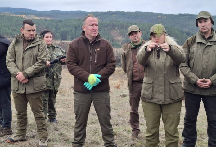 Военни и горски „съживиха“ гората край Самоков с над 1100 нови фиданки