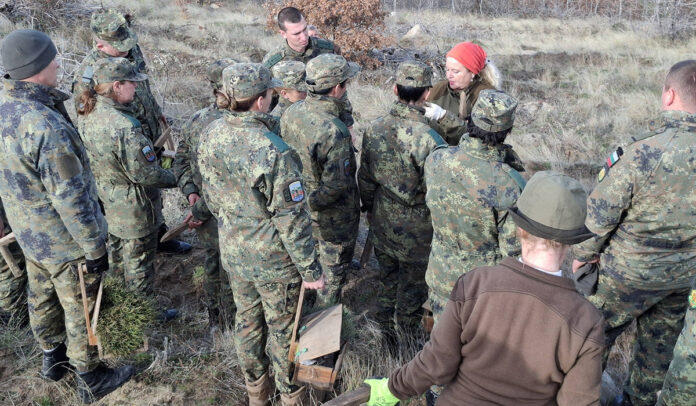 Горски и военни съживяват гората над Кресненското дефиле след пожара от 2017