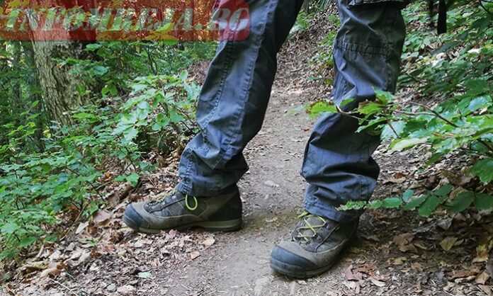 Възрастен мъж се изгуби при бране на гъби, полицаи го откриха