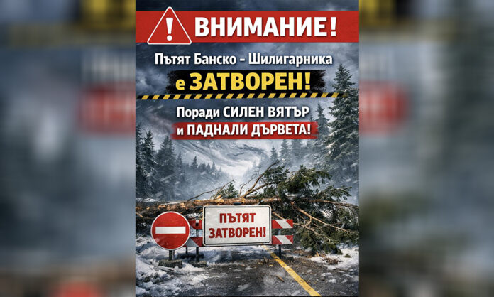 Пътят от Банско към Шилигарника временно затворен заради паднали дървета