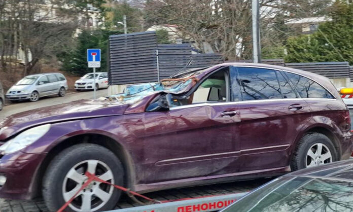 10 души са собственици на парцела, където дърво падна и уби жена в Бояна