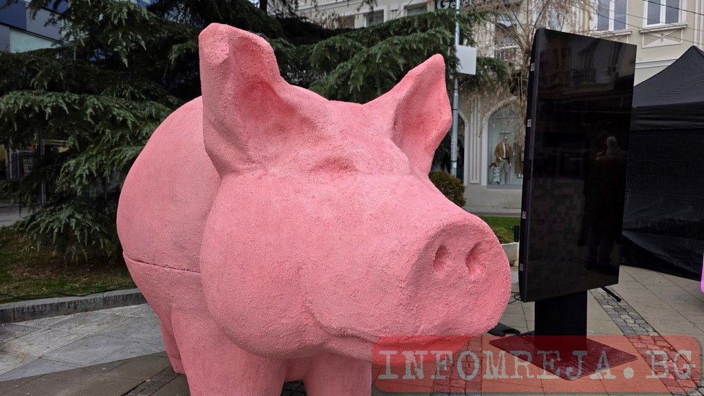 Прасето на Промяната търси доброволци от Благоевград, който да пазят вота - Инфомрежа