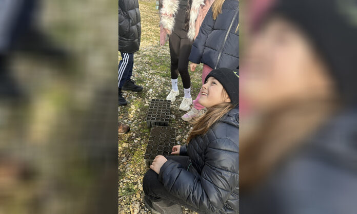 Ученици от Благоевград проведоха открит урок в горския разсадник на ДГС
