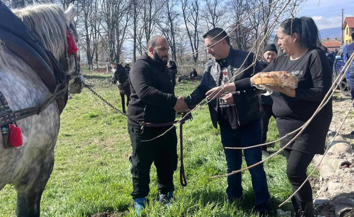 Денис Янев и жребецът Тайгър – големите победители на Тодоровден в Кочериново