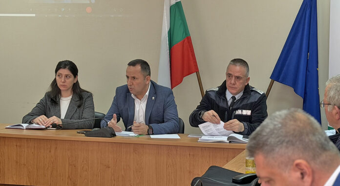Спад в тежките катастрофи в Благоевградско, но животните на пътя остават сериозна опасност