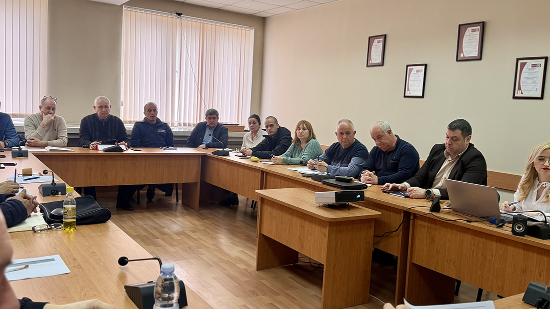 Спад в тежките катастрофи в Благоевградско, но животните на пътя остават сериозна опасност - Инфомрежа