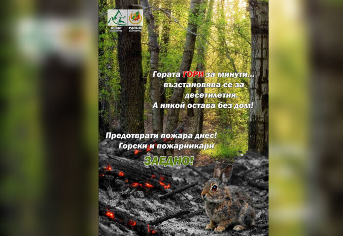 Горски и пожарникари в общ фронт срещу огнените бедствия в Пиринско