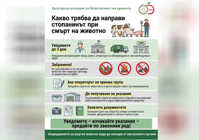 БАБХ с нови указания към стопаните при смърт на животно