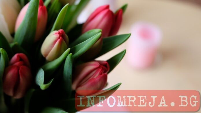Жените и мъжете в политиката ни за 8 март: Честит празник!