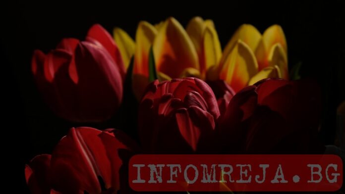 Облачно време и валежи в югозападната част на страната