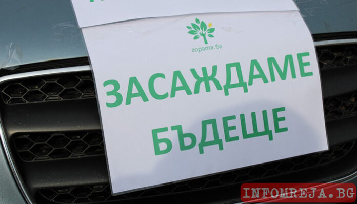 16 000 фиданки подаряват в Благоевград
