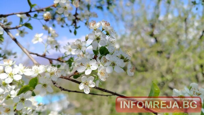 До 22° в изборния ден: Слънце преди обяд, облаци и дъжд след пладне