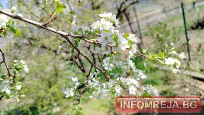 Пролетни температури до 22° днес, студен фронт носи валежи и гръмотевици през уикенда