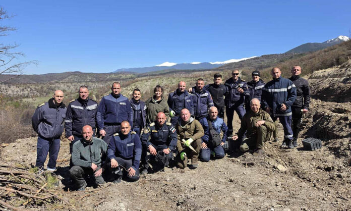 Нов живот за изгорялата гора над Илинденци: Залесиха 3000 фиданки, наградиха доброволци