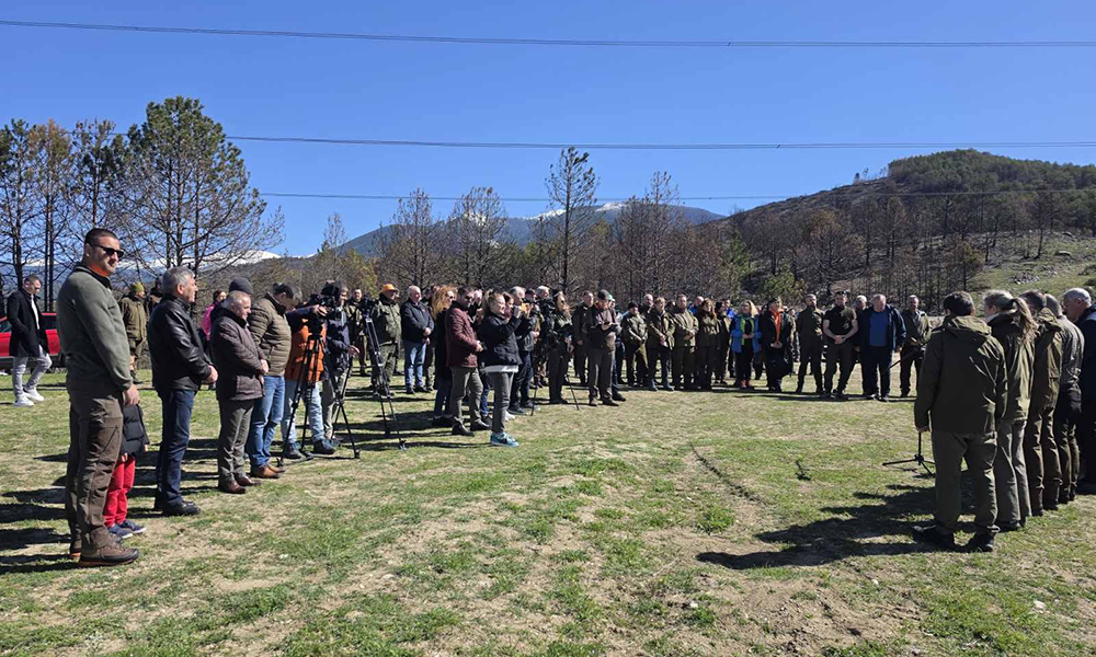 Нов живот за изгорялата гора над Илинденци: Залесиха 3000 фиданки, наградиха доброволци - Инфомрежа
