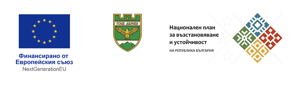 Община Гоце Делчев представя резултатите от обновяването на осветлението в града и шест села - Инфомрежа
