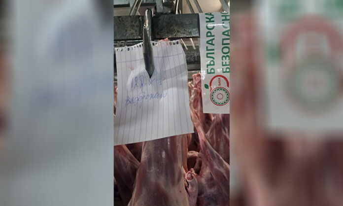 БАБХ разследва изчезването на 800 агнета от месокомбинат в Свищов
