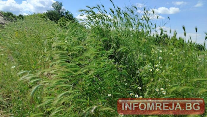 Сутрешни гръмотевици на изток и слънце над Западна България