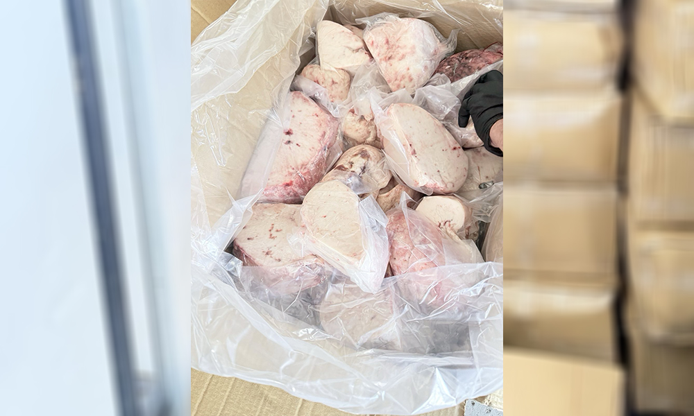 38 тона негодни храни открити при акция в месокомбинат в Свиленград 38 тона негодни храни открити при акция в месокомбинат в Свиленград - Инфомрежа