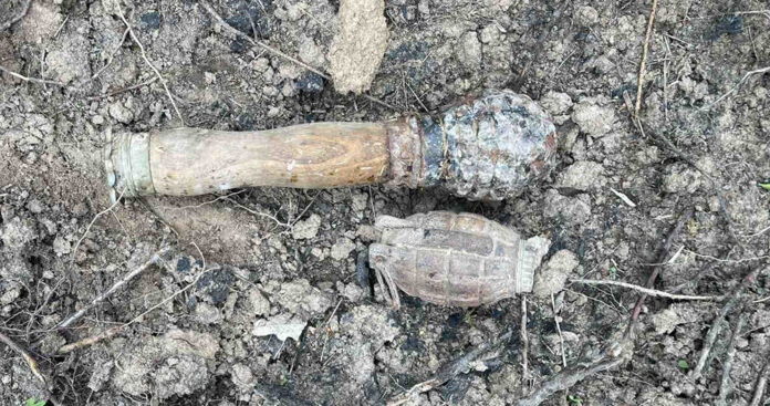 Военнослужещи обезвредиха две бойни гранати в село Петрелик