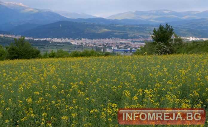 До обяд – слънце, следобед – купести облаци и валежи на места