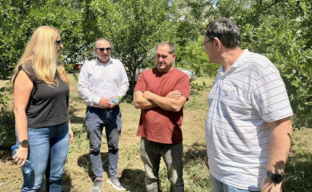 Проверки в Кюстендилско разкриха напълно унищожени овощни насаждения Проверки в Кюстендилско разкриха напълно унищожени овощни насаждения - Инфомрежа