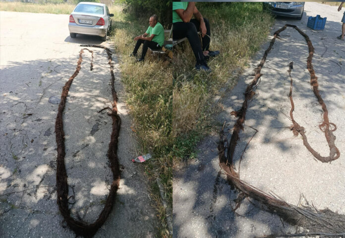 Корени запушиха водопровод към с. Стоб, екип на водното дружество отстрани проблема