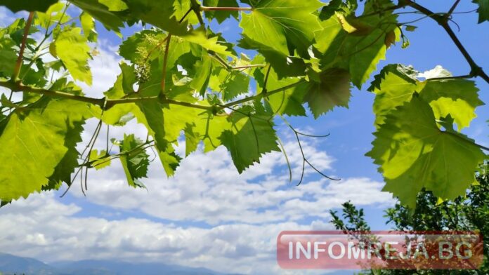 Слънчево време днес, купеста облачност и кратки валежи следобед