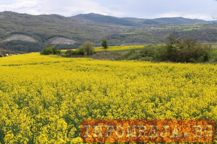 Слънчево начало и следобедни бури в страната