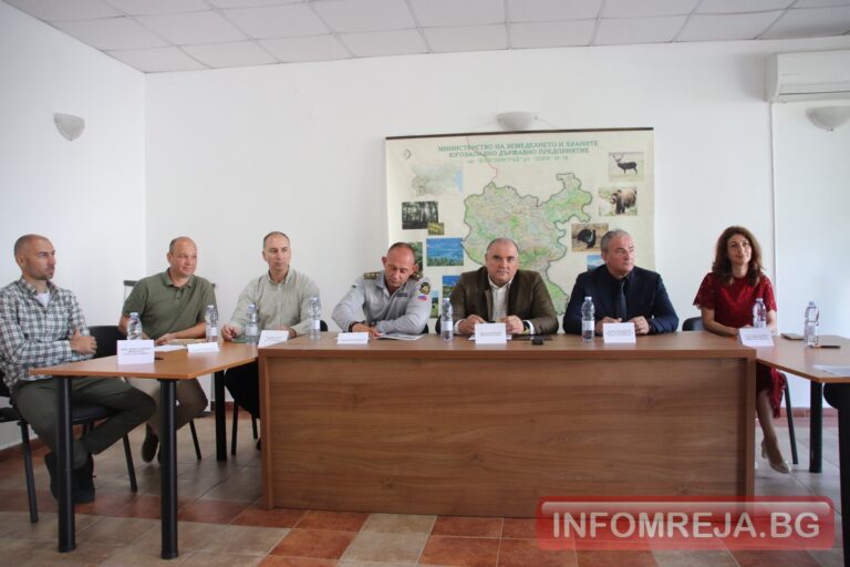408 декара гори са изпепелени досега в ЮЗДП, по-голяма част от тях отново заради човешка небрежност
