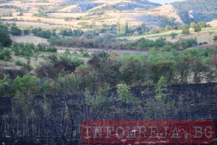 Пожарът в Благоевградско е потушен