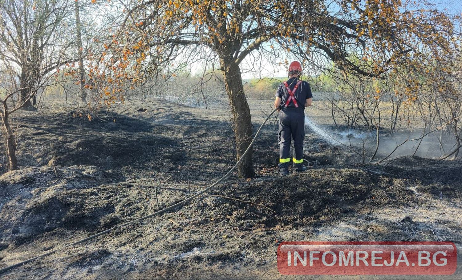 Пожарът в Дъбрава обхвана 50 декара, засегнати са 6 къщи и стопанска постройка, гората е спасена - Инфомрежа