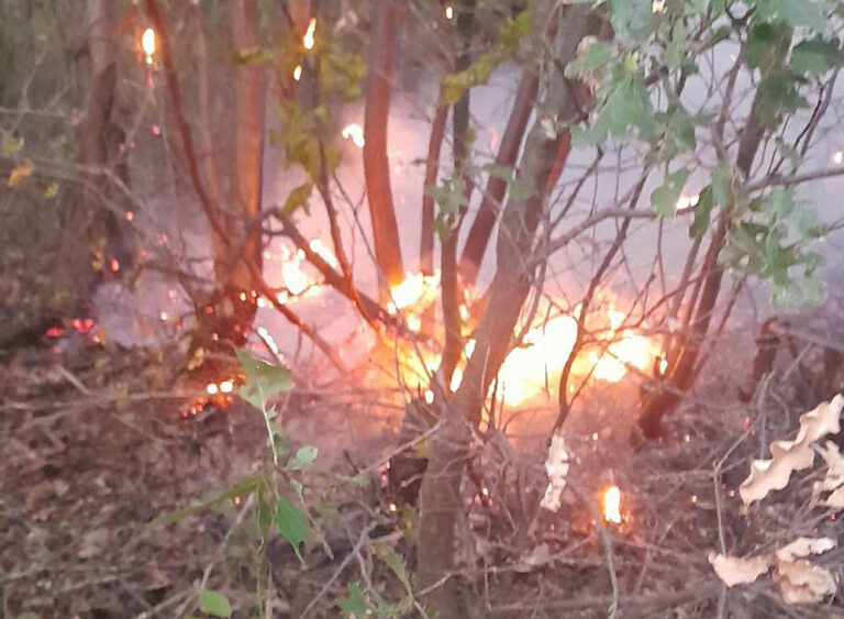 Кметът на Горна Брезница благодари на всички участвали в гасенето на пожара в Малешевска планина