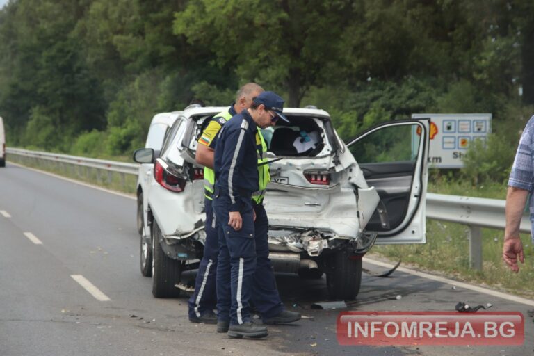 Диво прасе предизвика верижна катастрофа в Бургаско