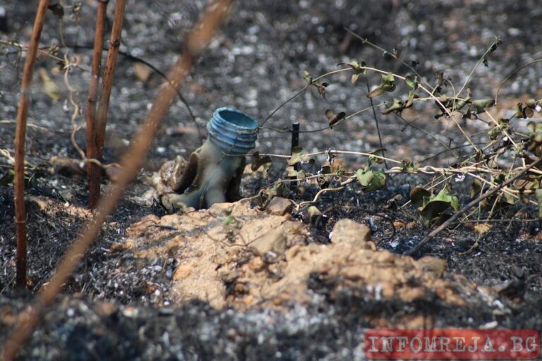 Огнеборци спасиха три сгради при пожар в Долно село