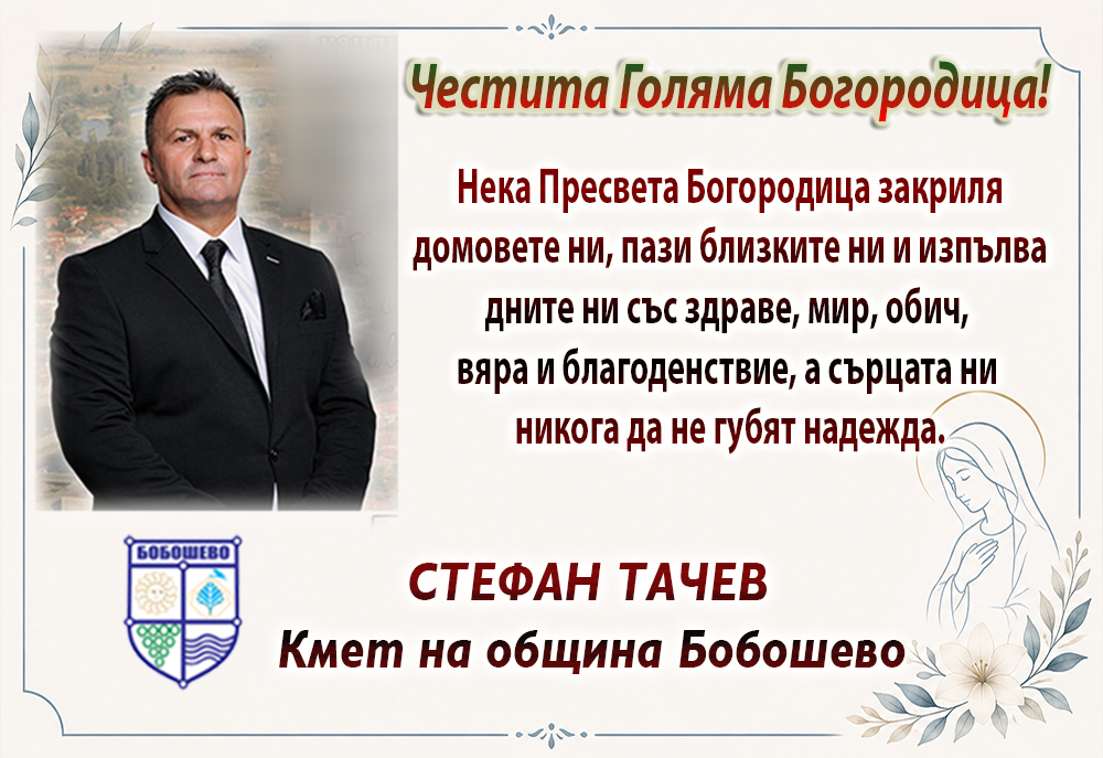 Home - Инфомрежа